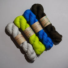 Load image into Gallery viewer, MusiKAL- 4 Skein Set - Sock 100g