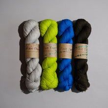 Load image into Gallery viewer, MusiKAL- 4 Skein Set - Sock 100g