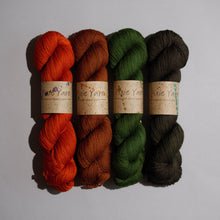 Load image into Gallery viewer, MusiKAL- 4 Skein Set - Sock 100g