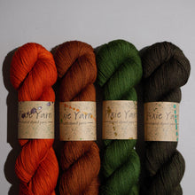 Load image into Gallery viewer, MusiKAL- 4 Skein Set - Sock 100g