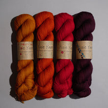 Load image into Gallery viewer, MusiKAL- 4 Skein Set - Sock 100g