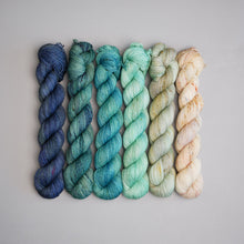 Load image into Gallery viewer, ROOTS 4 - QUARTERLY YARN CLUB 2025