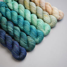 Load image into Gallery viewer, ROOTS 4 - QUARTERLY YARN CLUB 2025