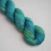 Load image into Gallery viewer, Choose and Chop - Sock - 100g Skein