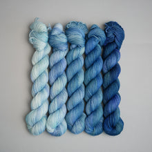 Load image into Gallery viewer, Snow Moon February Fade - Sock/Sparkle/DK - 5 x 20/50/100g's