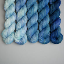 Load image into Gallery viewer, Snow Moon February Fade - Sock/Sparkle/DK - 5 x 20/50/100g's