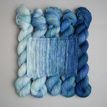 Load image into Gallery viewer, Snow Moon February Fade - Sock/Sparkle/DK - 5 x 20/50/100g's