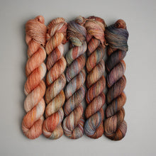 Load image into Gallery viewer, Worm Moon March Fade - Sock/Sparkle/DK - 5 x 20/50/100g's
