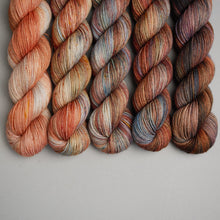 Load image into Gallery viewer, Worm Moon March Fade - Sock/Sparkle/DK - 5 x 20/50/100g's