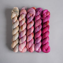 Load image into Gallery viewer, Pink Moon Fade - Sock/Sparkle/DK/DK Sparkle - 5 x 20/50/100g's