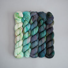 Load image into Gallery viewer, Mirkwood Fade - Sock/DK - 5 x 20/50/100g
