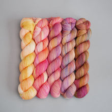 Load image into Gallery viewer, Flower Moon May Fade - Sock/Sparkle/DK/DK Sparkle - 5 x 20/50/100g's
