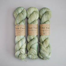 Load image into Gallery viewer, Sage - Sock - 100g Skein