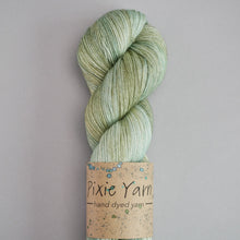 Load image into Gallery viewer, Sage - Sock - 100g Skein