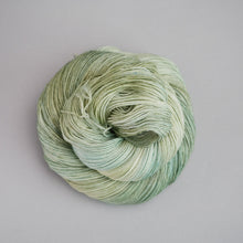 Load image into Gallery viewer, Sage - Sock - 100g Skein