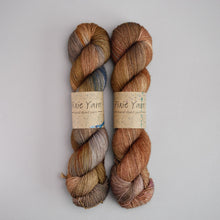 Load image into Gallery viewer, Landscape - Sock - 100g Skein