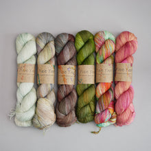 Load image into Gallery viewer, Various - Sock - 100g Skein