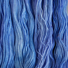 Load image into Gallery viewer, Delphinum - Sock - 100g Skein