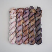 Load image into Gallery viewer, Harvest Moon September Fade - Sock/Sparkle/DK/DK Sparkle - 5 x 20/50/100g's