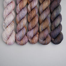 Load image into Gallery viewer, Harvest Moon September Fade - Sock/Sparkle/DK/DK Sparkle - 5 x 20/50/100g's