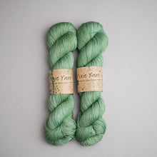 Load image into Gallery viewer, Sage - Fingering Weight - Sock