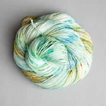 Load image into Gallery viewer, Barefoot - Sock - 100g Skein