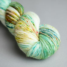 Load image into Gallery viewer, Barefoot - Sock - 100g Skein