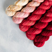 Load image into Gallery viewer, Hey Little Apple Blossom - Sock Fade 5 x 50g&#39;s