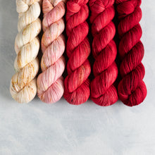 Load image into Gallery viewer, Hey Little Apple Blossom - Sock Fade 5 x 50g&#39;s