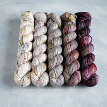 Load image into Gallery viewer, Picotee - 5 Skein Gradient Set - Sock 50g&#39;s