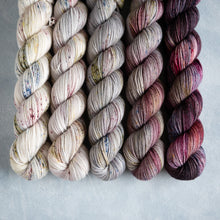 Load image into Gallery viewer, Picotee - 5 Skein Gradient Set - Sock 50g&#39;s