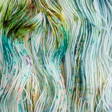 Load image into Gallery viewer, Barefoot - Sock - 100g Skein