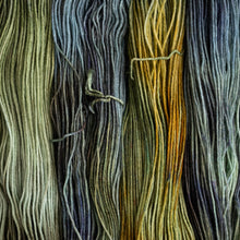 Load image into Gallery viewer, Symbiotic - Sock - 100g Skein