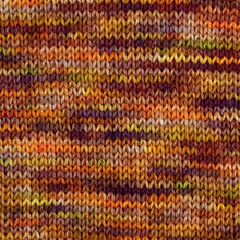 Load image into Gallery viewer, Pumpkin Patch - Sock - 100g Skein