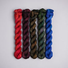 Load image into Gallery viewer, JANUARY YARN CLUB - DYED TO ORDER