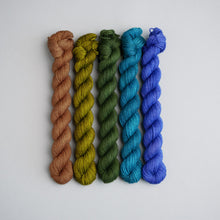 Load image into Gallery viewer, APRIL - YARN CLUB - DYED TO ORDER