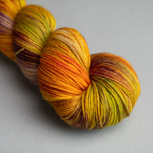 Load image into Gallery viewer, Pumpkin Patch - Sock - 100g Skein