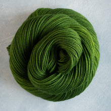 Load image into Gallery viewer, Picholine - Sock - 100g
